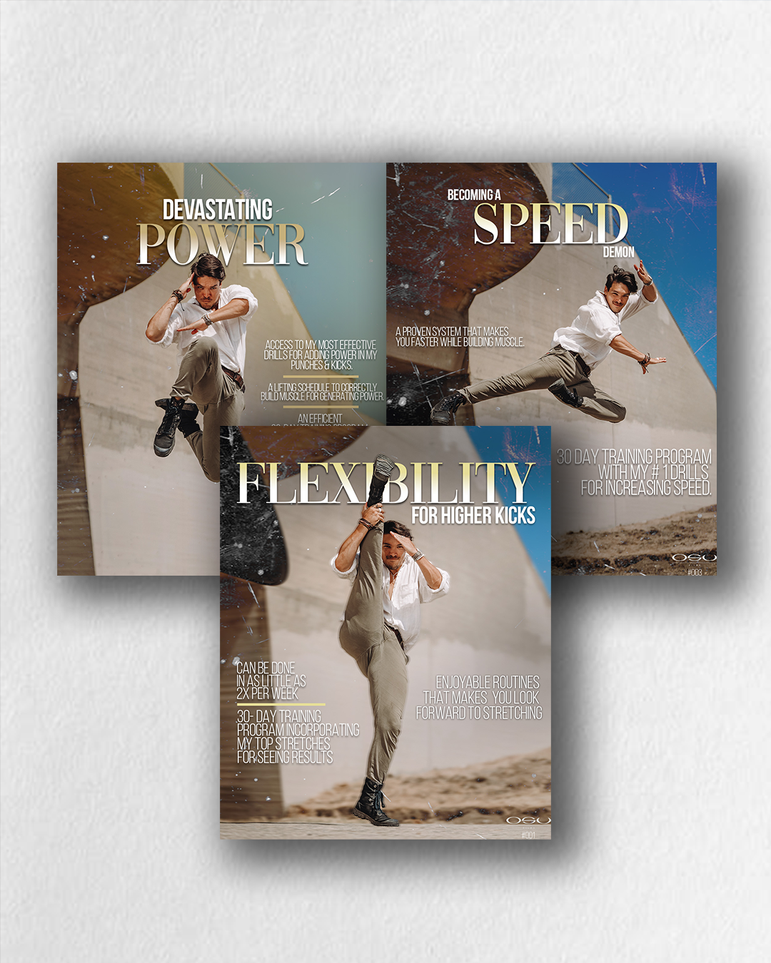 Beginner's Guide To Martial Arts — Osu Films